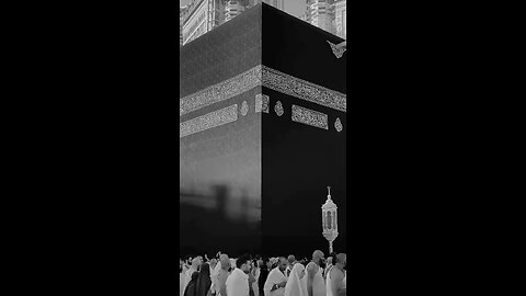 The Path of Peace and Submission
