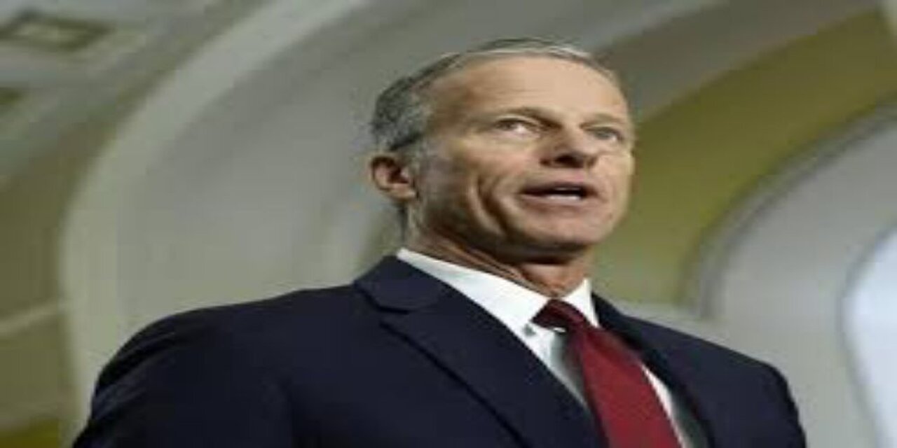 Thune Optimistic Govt Will Reopen This Week