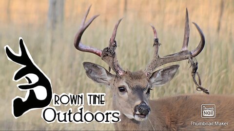 The Growing Season 44