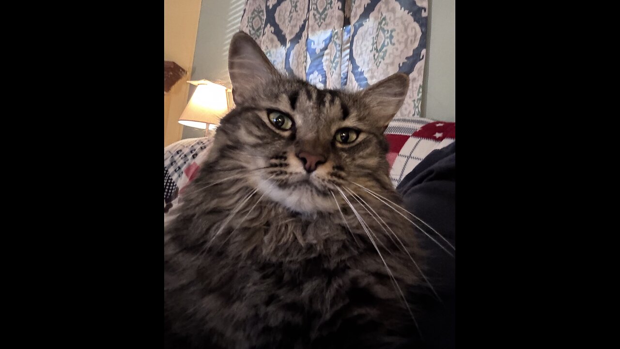 RESCUE9 Riverside County