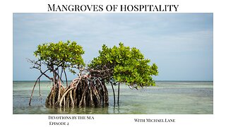 Mangroves of Hospitality