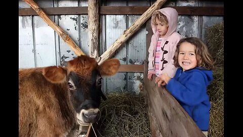 Naming Steers: Why I Give Them Names, Not Numbers!