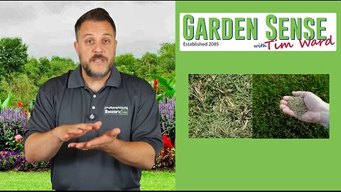 Garden Sense with Tim Ward - 09.10.25