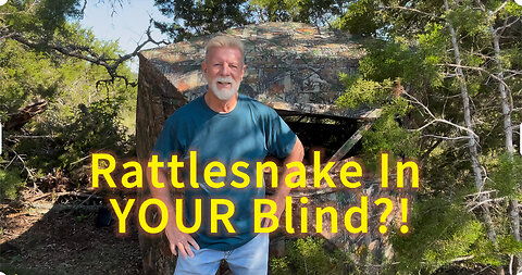 Best POP UP BLIND You’ll EVER SEE!