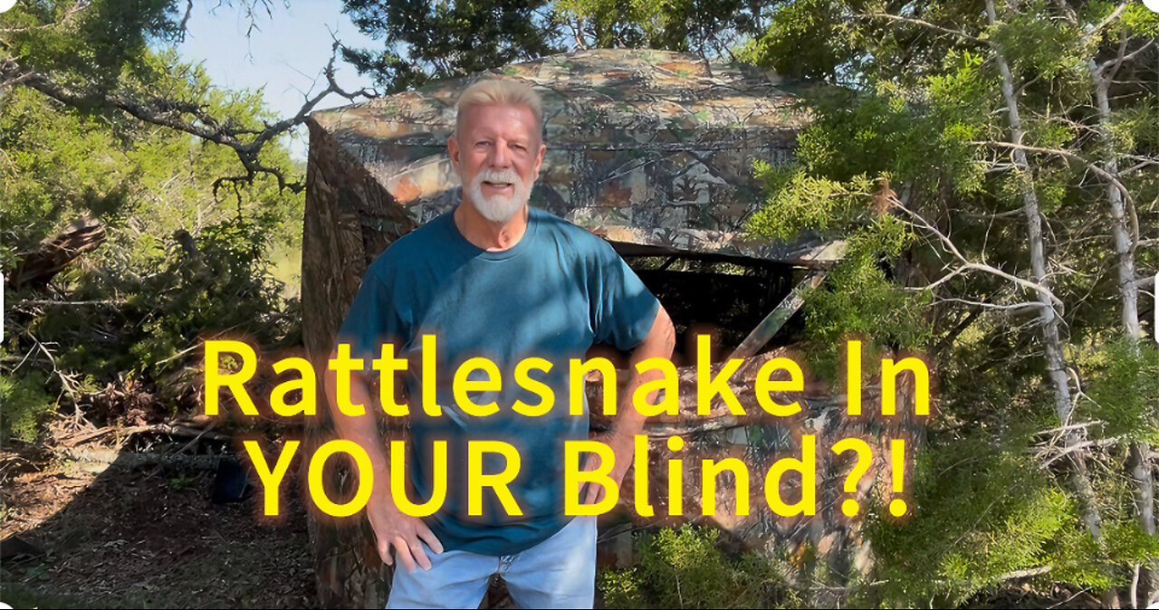 Best POP UP BLIND You’ll EVER SEE!