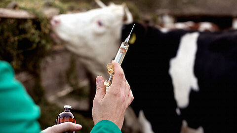 🛑#ALLARME IN SARDEGNA - “VOGLIONO VACCINARE OLTRE 300.000 CAPI DI BESTIAME SANISSIMO, CHE PROBABILMENTE MORIRÀ DOPO L'INOCULO E LE CUI CARNI E IL CUI LATTE FINIRANNO SULLE NOSTRE TAVOLE PER AMMAZZARE ANCHE NOI!!” 👿👿👿