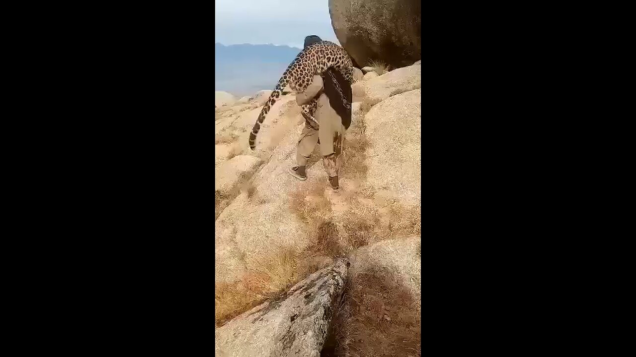 funny afghanistan