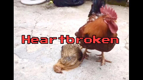 Heartbroken