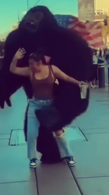 She chose the gorilla 😂