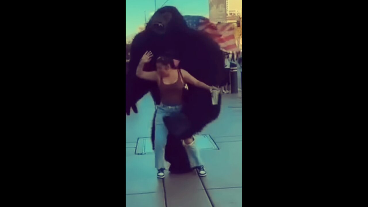 She chose the gorilla 😂