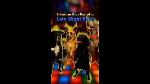 Suburban Dogs Busted in Late-Night Rave