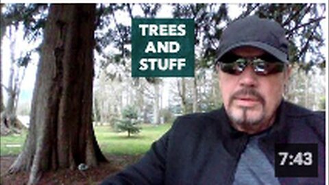"Arboreal Elements and Miscellaneous Matters"