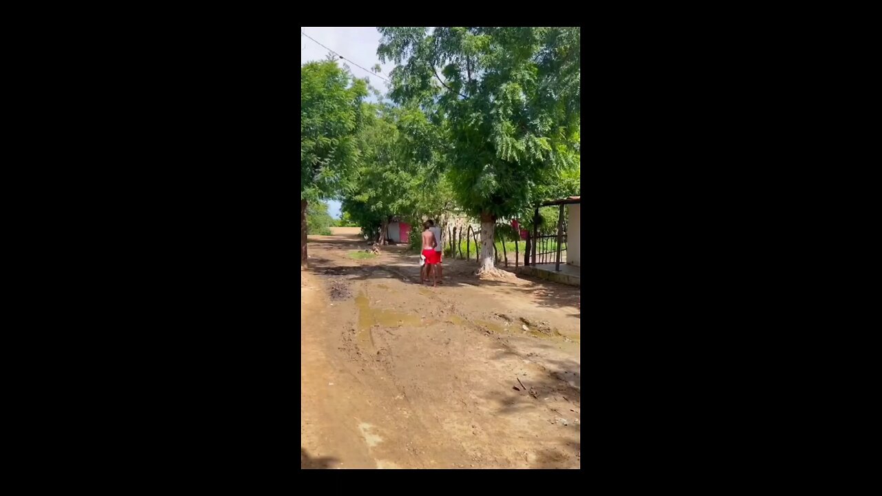 # funny videos 🤣🤣 comedy