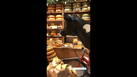 ROTTERDAM CHEESE SHOP