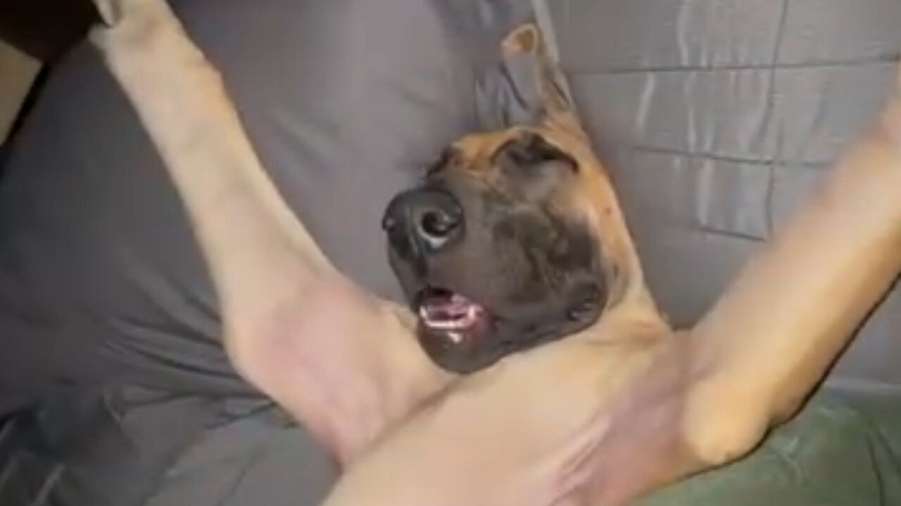 UNUSUAL FUNNY VIDEO COMPILATION V015 😂😂