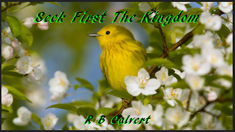 Seek First The Kingdom