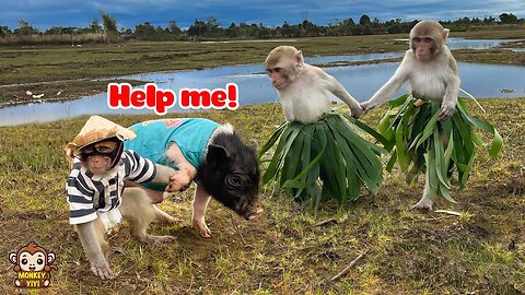 Funny and touching : Monkey YiYi and YinYin and Un In's unstable picnic journey