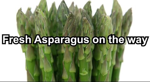 Fresh Asparagus on the way