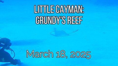Little Cayman - Grundy's Reef - March 18, 2025