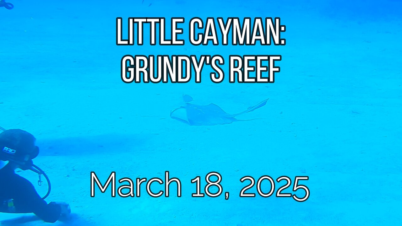 Little Cayman - Grundy's Reef - March 18, 2025