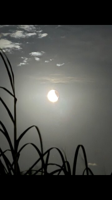 Last night Lunar Eclipse