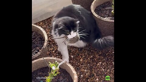 Para los problemas complejos, soluciones simples