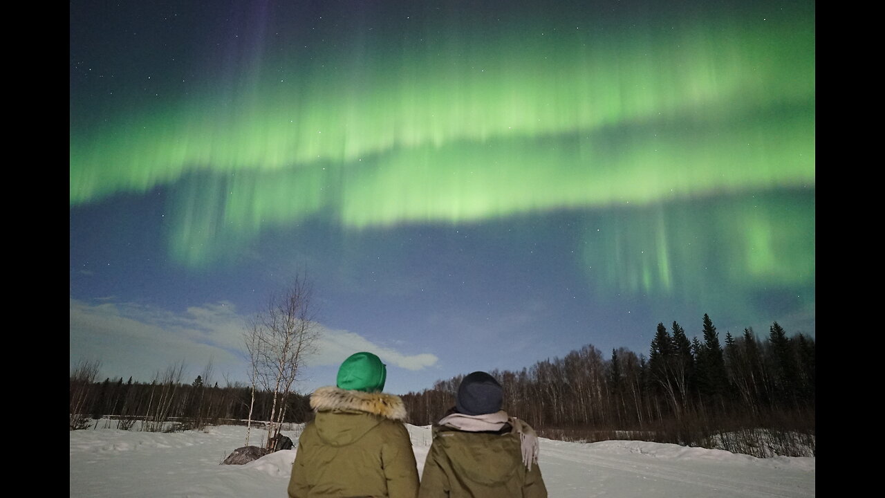(April) Northern Lights Chasing Tour in Fairbanks, Alaska (Aurora Borealis)