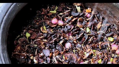 Delicious diet made using fresh brinjal