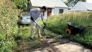 Shattered Windows, Flat Tires, and Stray Cats… I Couldn’t Walk Away