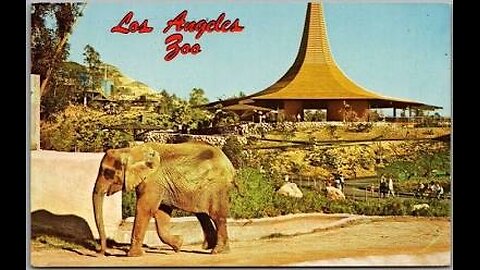 Los Angeles Zoo - 1964