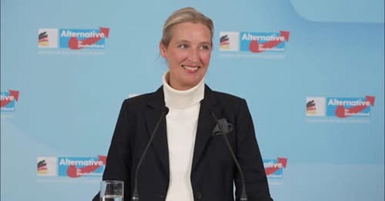 Alice Weidel (AfD) zur linksradikalen CDU - SPD Koalition