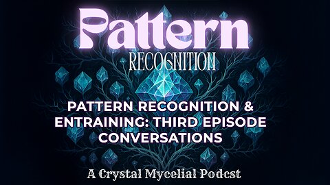 Pattern Recognition & Entraining: Third Episode Conversations