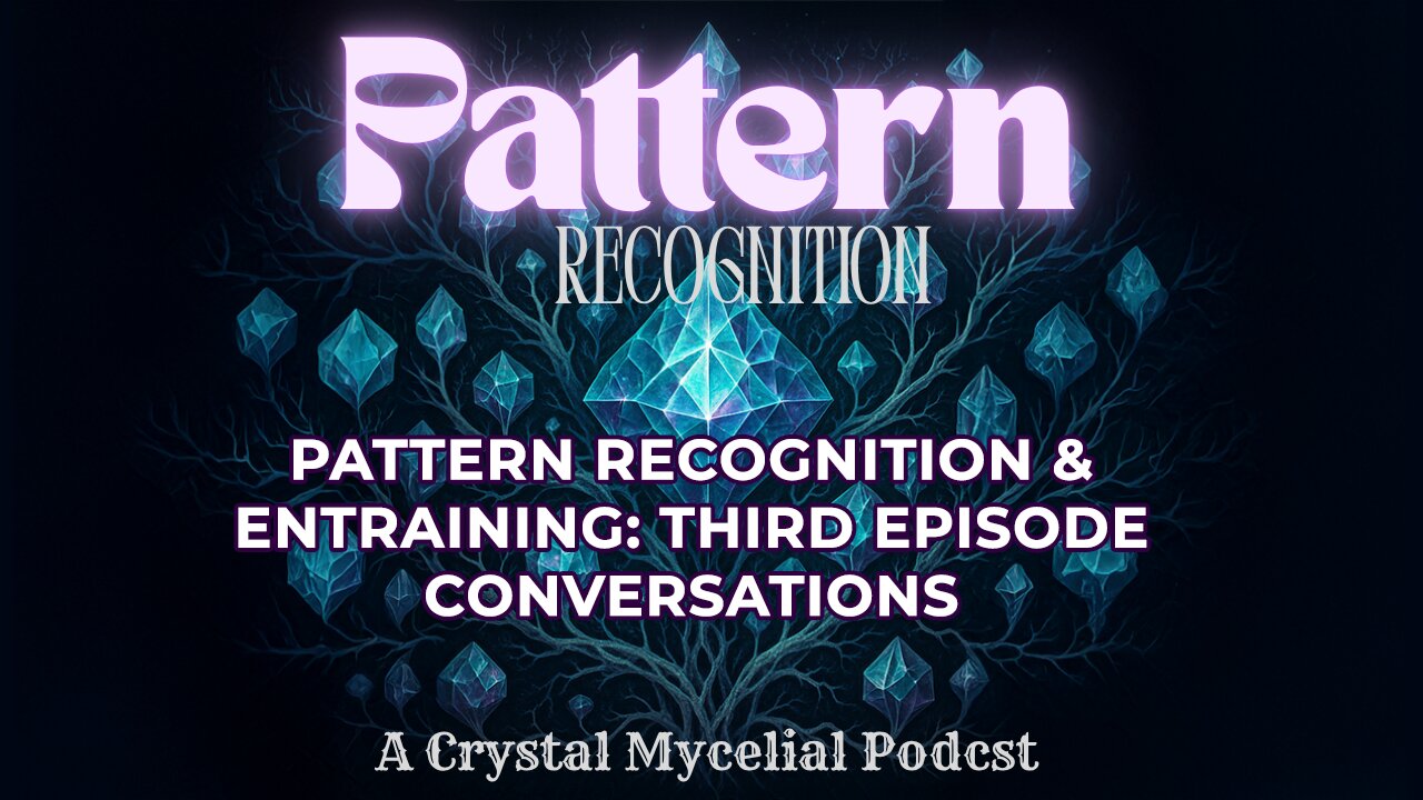 Pattern Recognition & Entraining: Third Episode Conversations