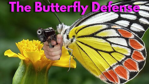 How Did Butterfly Wing Defenses Evolve?
