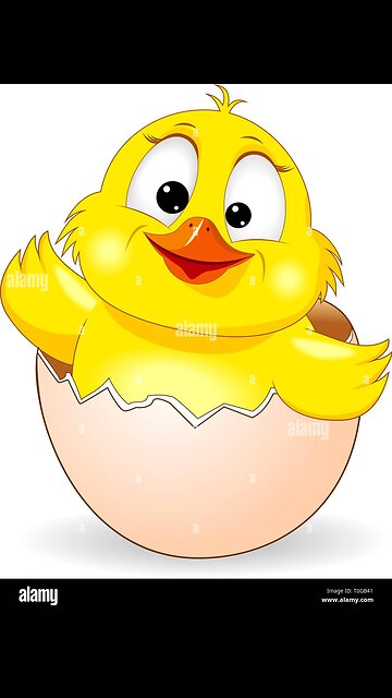 "A Smile from the Shell"