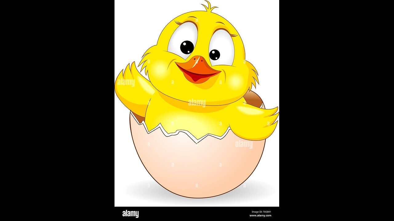 "A Smile from the Shell"