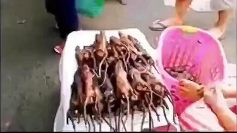 Chinese Wuhan meat marketYum Yum