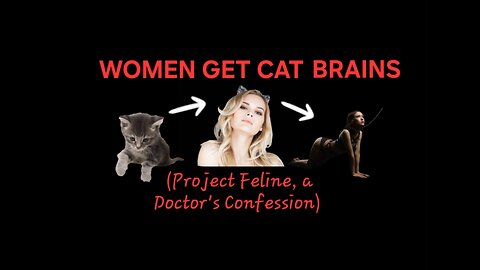 "WOMEN GET CAT BRAINS" (Project Feline) Season2 Episode3