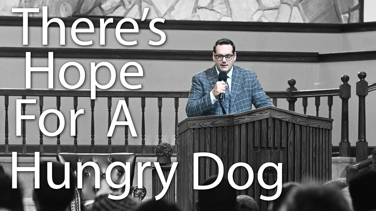There's Hope for a Hungry Dog