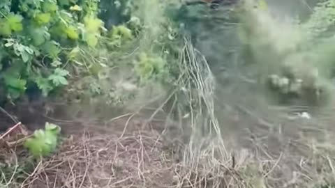 ✨👀 Wait Until You See This Quick Hack! | LifeHacksDaily