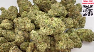 Lemon Candy Dank from Lit Farms! The Dank Flamingo Review!
