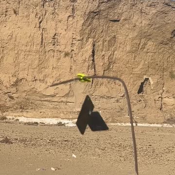 Ruger Mini-14 #国外合法拍摄国内请勿模仿 #武器科普 #实弹射击 #男人减速带 #靶场射击