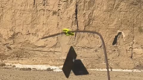 Ruger Mini-14 #国外合法拍摄国内请勿模仿 #武器科普 #实弹射击 #男人减速带 #靶场射击