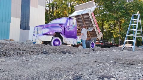 Painting 2016 international terra star plum crazy purple