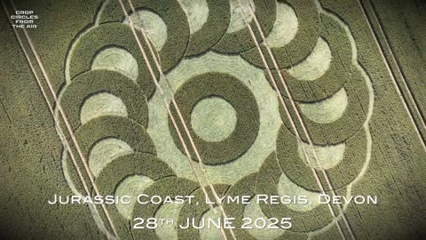 Croppies profitant du Crop Circle de la côte jurassique 2025 Crop Circles vus du ciel