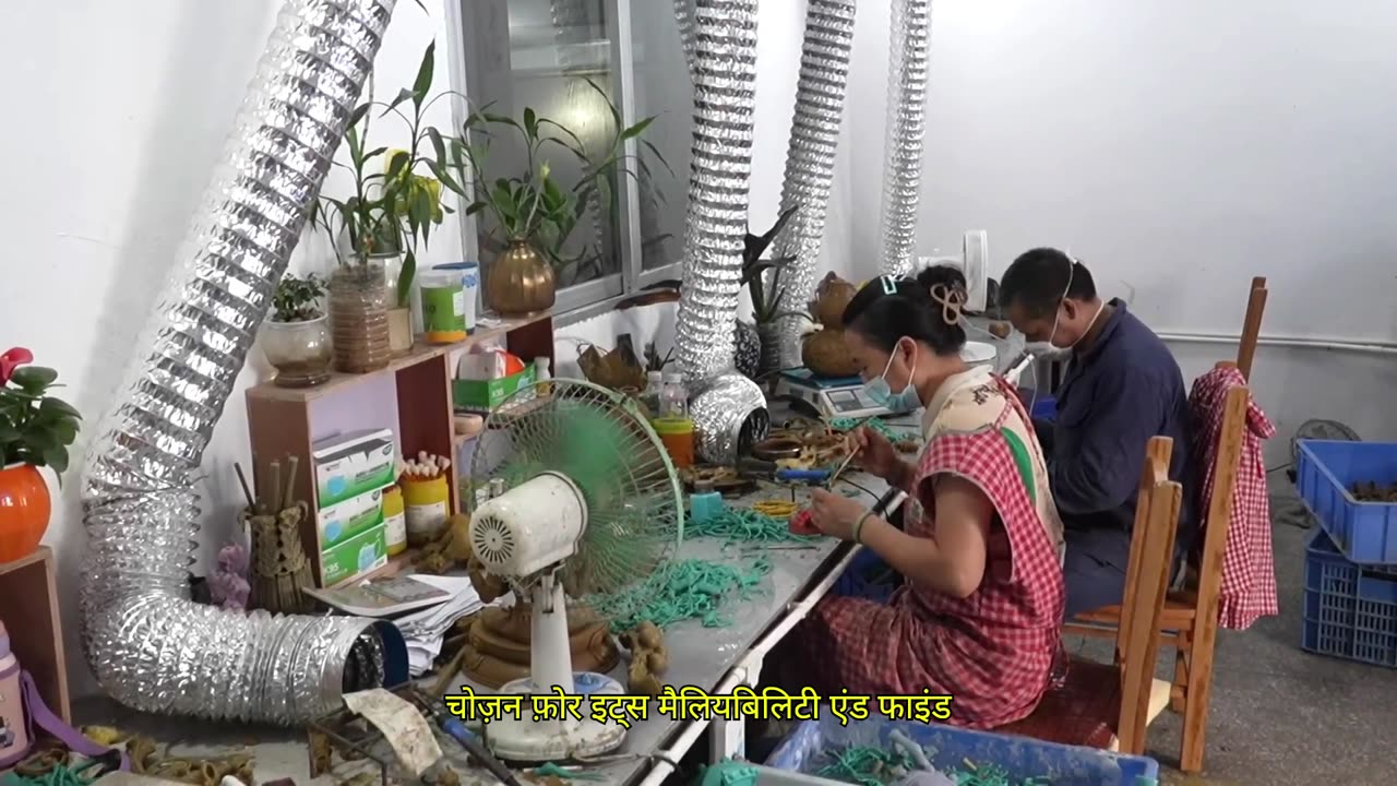 Flowers To Agarbatti, Golden Arowana And Bullets