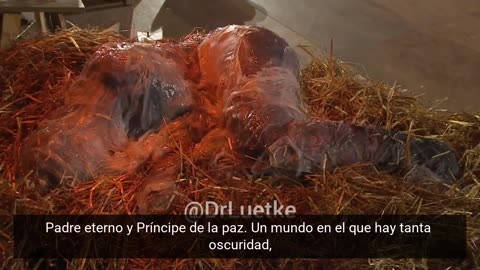 2025 German Christmas Mass