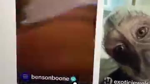 Amazing: How Benson Boone Accidentally Became The Most Viral Singer