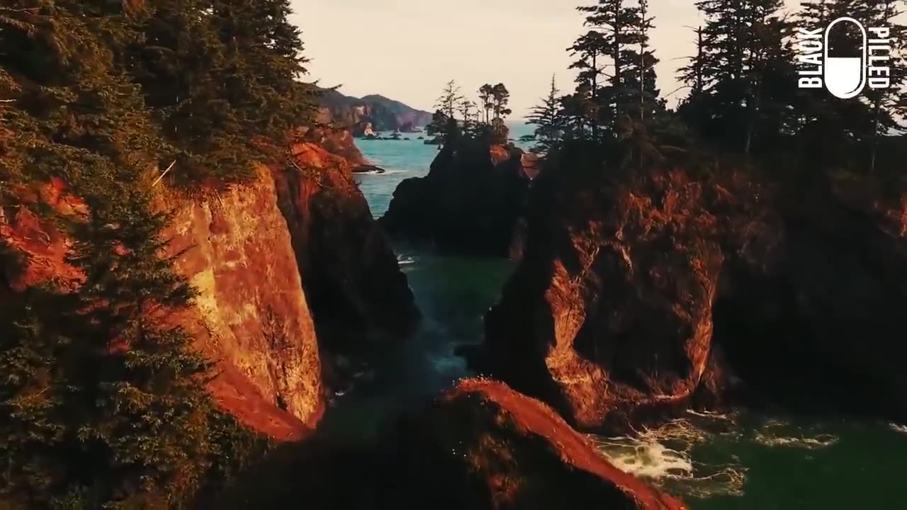 The Land Of My Ancestors | Black Pilled | Devon Stack