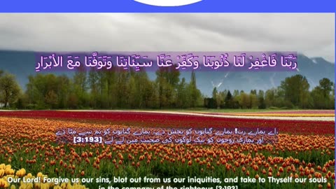 40 Rabbana Duas (Dua no 16)
